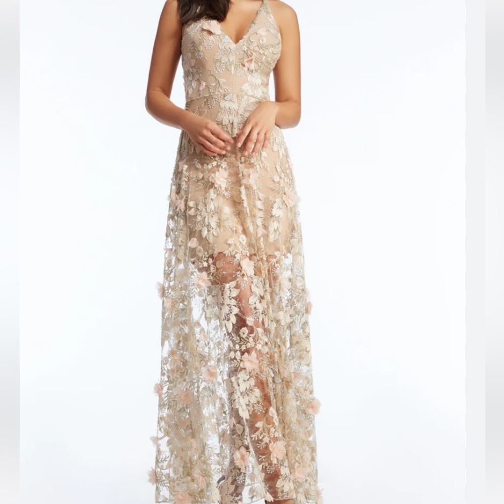 Dress the Population Maxi Dress